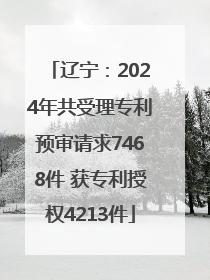 辽宁：2024年共受理专利预审请求7468件 获专利授权4213件