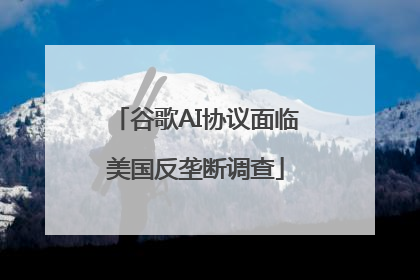 谷歌AI协议面临美国反垄断调查
