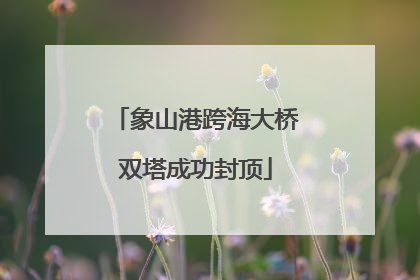 象山港跨海大桥双塔成功封顶