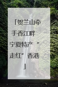 贺兰山牵手香江畔 宁夏特产“走红”香港