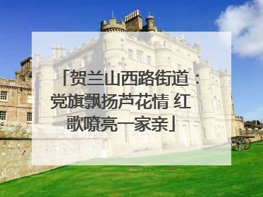 贺兰山西路街道：党旗飘扬芦花情 红歌嘹亮一家亲
