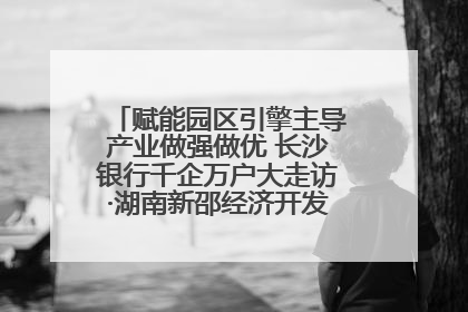 赋能园区引擎主导产业做强做优 长沙银行千企万户大走访·湖南新邵经济开发区专场活动举行