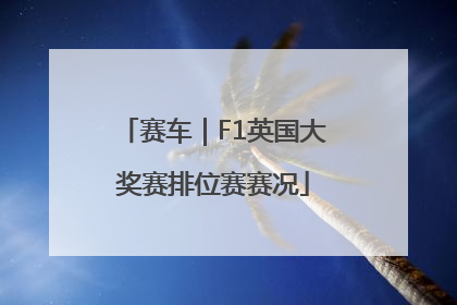 赛车｜F1英国大奖赛排位赛赛况