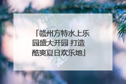 赣州方特水上乐园盛大开园 打造酷爽夏日欢乐地