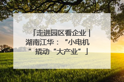 走进园区看企业｜湖南江华：“小电机”撬动“大产业”