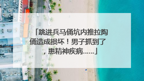 跳进兵马俑坑内推拉陶俑造成损坏！男子抓到了，患精神疾病……