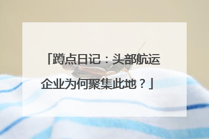 蹲点日记：头部航运企业为何聚集此地？
