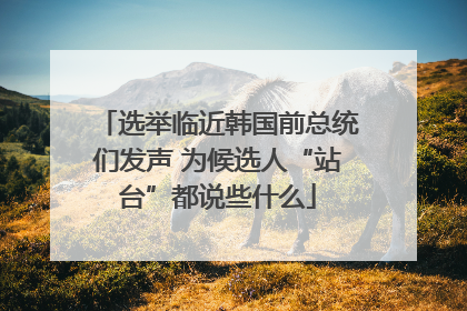 选举临近韩国前总统们发声 为候选人“站台”都说些什么