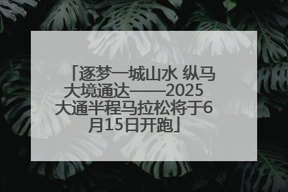 逐梦一城山水 纵马大境通达——2025大通半程马拉松将于6月15日开跑