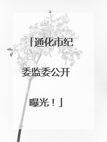 通化市纪委监委公开曝光！