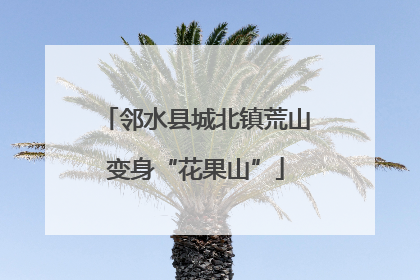 邻水县城北镇荒山变身“花果山”