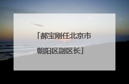 郝宝刚任北京市朝阳区副区长