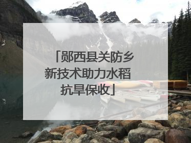 郧西县关防乡新技术助力水稻抗旱保收