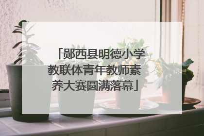 郧西县明德小学教联体青年教师素养大赛圆满落幕