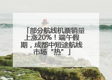 部分航线机票销量上涨20%！端午假期，成都中短途航线市场“热”