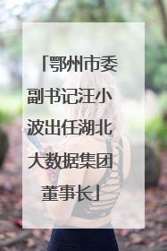 鄂州市委副书记汪小波出任湖北大数据集团董事长