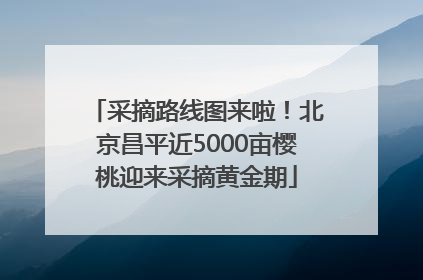 采摘路线图来啦！北京昌平近5000亩樱桃迎来采摘黄金期
