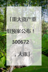 重大资产重组预案公布！300672，大涨