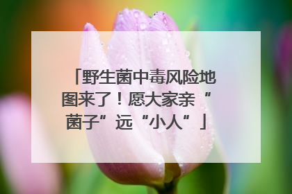 野生菌中毒风险地图来了！愿大家亲“菌子”远“小人”