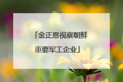 金正恩视察朝鲜重要军工企业