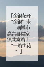 金银花开“金银”来——淄博市高青县常家镇共富路上“一路生花”