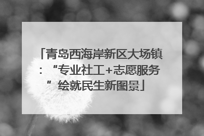 青岛西海岸新区大场镇：“专业社工+志愿服务”绘就民生新图景