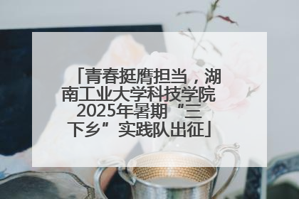 青春挺膺担当，湖南工业大学科技学院2025年暑期“三下乡”实践队出征