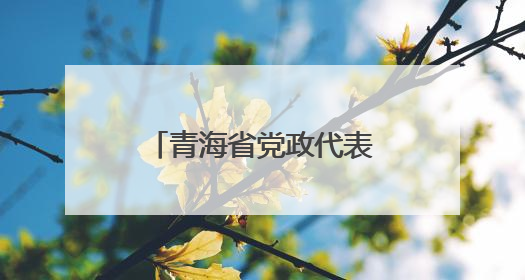 青海省党政代表团来山东考察