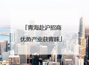 青海赴沪招商 优势产业获青睐