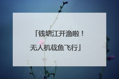 钱塘江开渔啦！无人机载鱼飞行