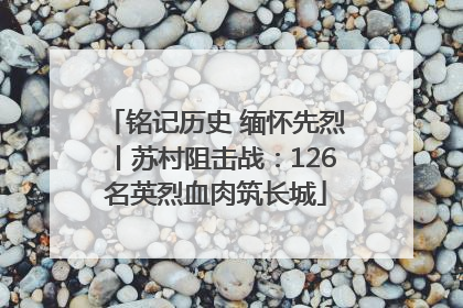 铭记历史 缅怀先烈丨苏村阻击战：126名英烈血肉筑长城