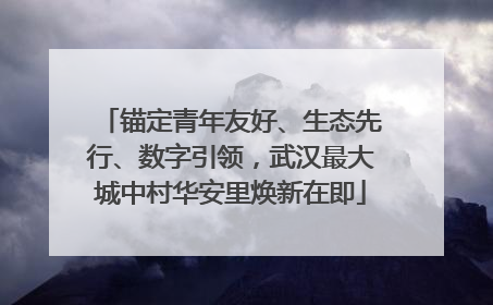 锚定青年友好、生态先行、数字引领，武汉最大城中村华安里焕新在即