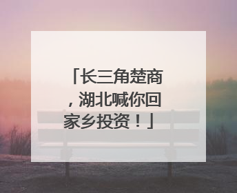 长三角楚商，湖北喊你回家乡投资！