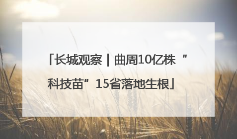 长城观察｜曲周10亿株“科技苗”15省落地生根