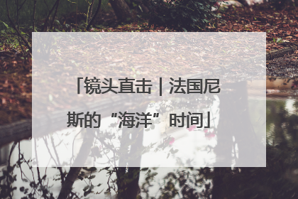 镜头直击｜法国尼斯的“海洋”时间