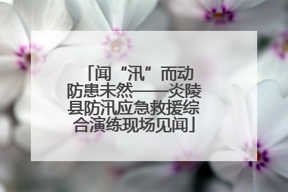 闻“汛”而动 防患未然——炎陵县防汛应急救援综合演练现场见闻