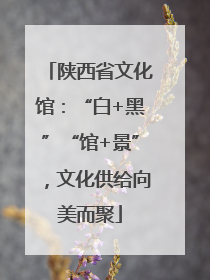 陕西省文化馆：“白+黑”“馆+景”，文化供给向美而聚