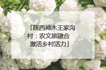 陕西神木王家沟村：农文旅融合 激活乡村活力