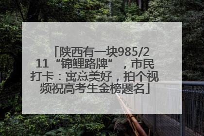 陕西有一块985/211“锦鲤路牌”，市民打卡：寓意美好，拍个视频祝高考生金榜题名