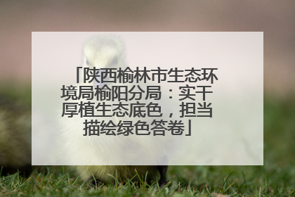 陕西榆林市生态环境局榆阳分局：实干厚植生态底色，担当描绘绿色答卷