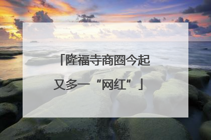 隆福寺商圈今起又多一“网红”
