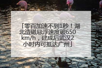 零百加速不到1秒！湖北造磁悬浮速度破650km/h，建成后武汉2小时内可抵达广州