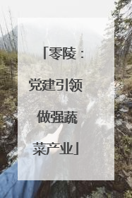 零陵：党建引领 做强蔬菜产业