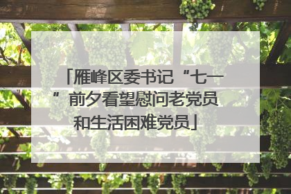 雁峰区委书记“七一”前夕看望慰问老党员和生活困难党员