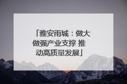 雅安雨城：做大做强产业支撑 推动高质量发展