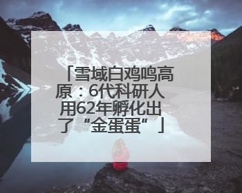 雪域白鸡鸣高原：6代科研人用62年孵化出了“金蛋蛋”