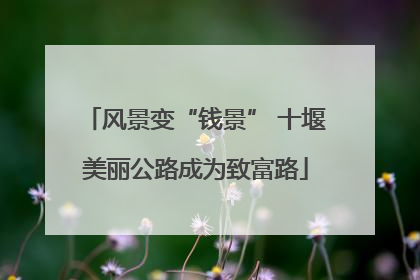 风景变“钱景” 十堰美丽公路成为致富路
