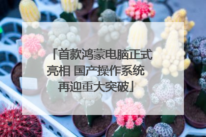 首款鸿蒙电脑正式亮相 国产操作系统再迎重大突破