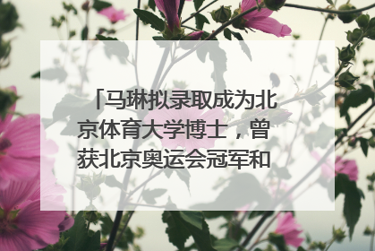 马琳拟录取成为北京体育大学博士，曾获北京奥运会冠军和4次世界杯冠军