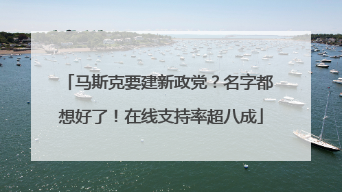 马斯克要建新政党？名字都想好了！在线支持率超八成